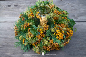 Anielskie Ogrody - ekowianki